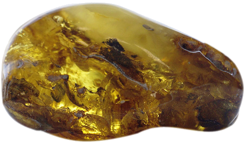 42,70 g Amber Nugget (1)