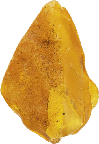 4.90 g Marine Amber nugget (2)