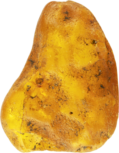 3,80 g Jūrinio Gintaro grynuolis (3)