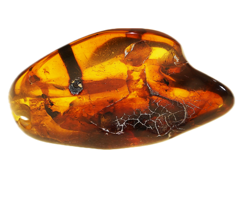 22,70 g Amber Nugget with inclusion (1)