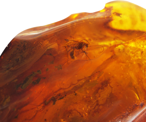 83,10 g Amber Nugget with inclusion (3)