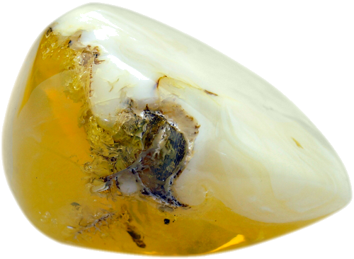 5.60 g Amber Nugget (3)