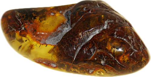 52,55 g Amber Nugget with natural cloud (2)