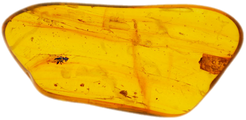 Самородок янтаря с инклюзом 2,60 г (1)