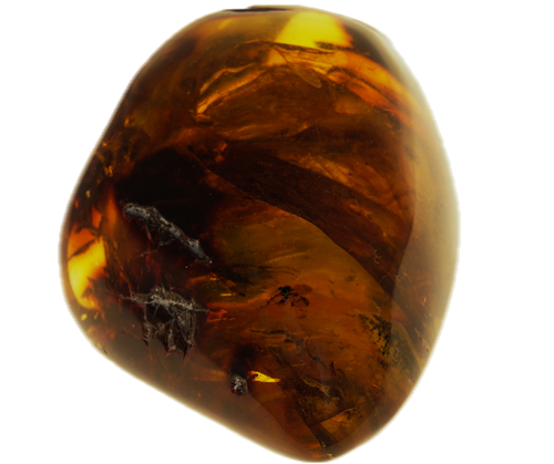 22,10 гр. Самороден кехлибар с 8 фосила (3)