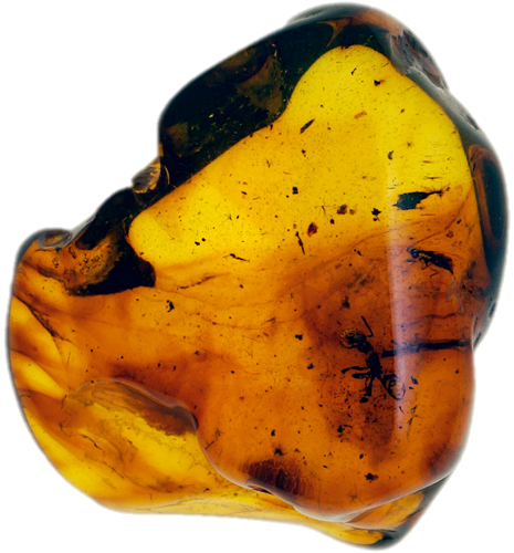5,40 g Amber Nugget with inclusion (1)