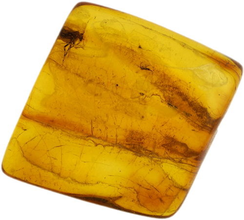 1,90 g Amber Nugget with inclusion (1)