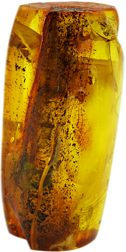 49,90 g Amber Nugget with inclusion (3)