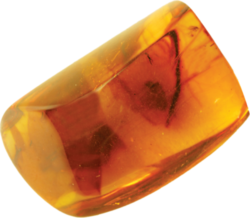 15,65 g Amber Nugget with inclusion (3)