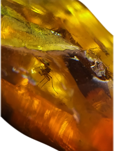 28 g Amber Nugget with inclusions (4)