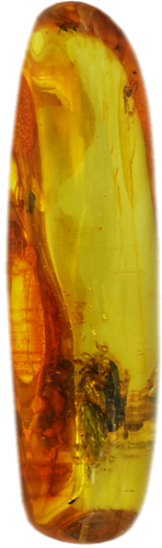 40,05 g Amber Nugget with inclusion (3)