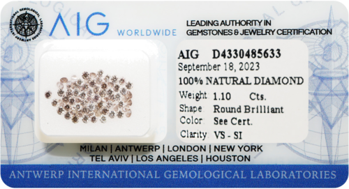 1.10 ct. Apvalūs Briliantai Fancy Mix Pinkish Brown / VS - SI / 1.50 - 1.60 mm (69 vnt) (1)