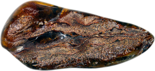 54,10 Amber Nugget (3)