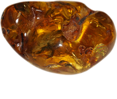 40 g Amber Nugget (4)