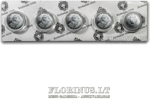 2015 Silverback Gorilla, Congo, 1 oz silver coin (5)