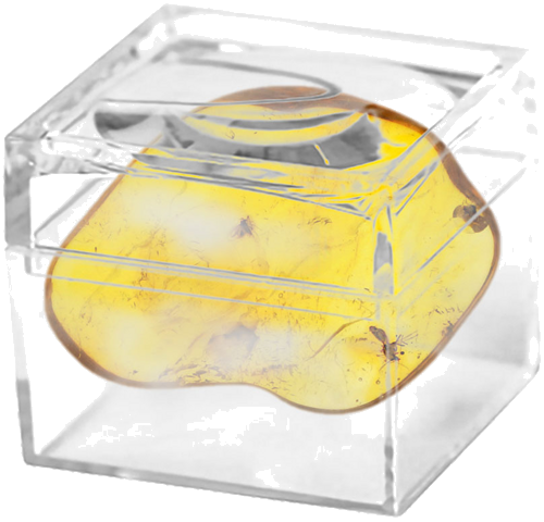 Самородок янтаря с инклюзом 2,30 г (2)