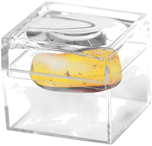 1,75 g Amber Nugget with inclusion (2)