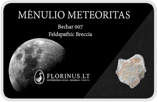 Lunar Meteorite (1)