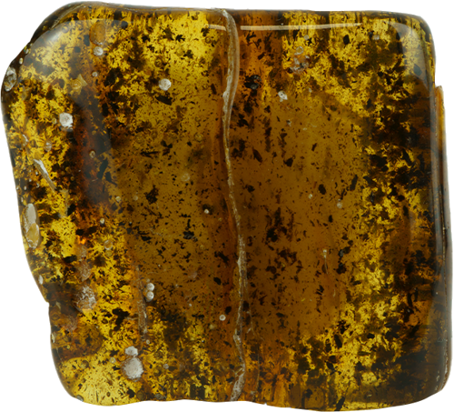 20,95 g Amber nugget (2)