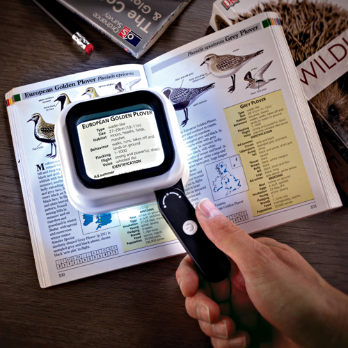 Foldable Magnifying Glass (4)