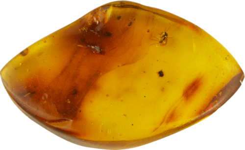 1,45 g Amber nugget with inclusions (1)
