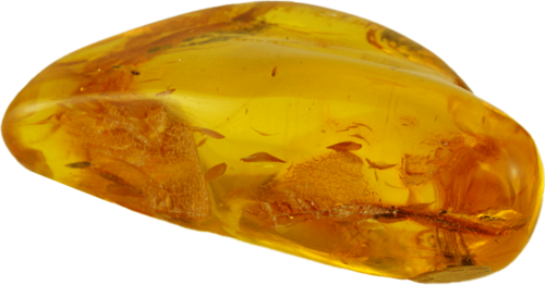 24,80 g Amber nugget with fly inclusion (5)