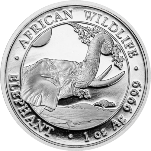 1 oz Elephants 2023 Somalia 100 Shillings Silver Coin (1)