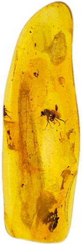 0,90 g Amber Nugget with inclusion (1)