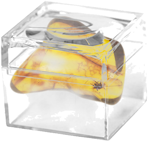 5,70 g Amber Nugget with inclusion (2)