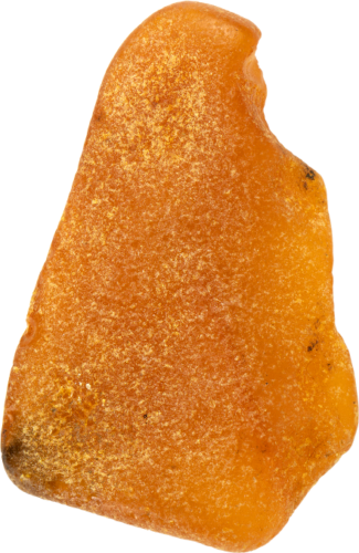 7,55 g Jūras dzintara tīrradnis (1)