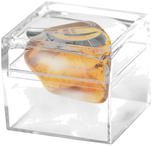 3,95 g Amber Nugget with inclusion (2)