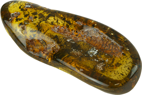 16,80 g Gintaro grynuolis (4)