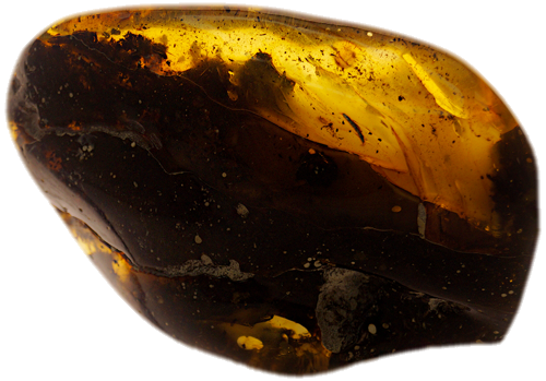 170 g Amber Nugget (5)