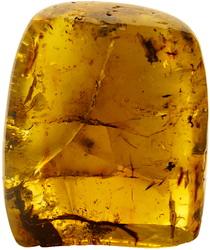 158 g Amber Nugget (3)