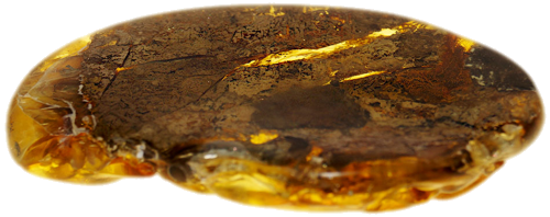 16,30 g Amber nugget with tree bark inclusion (2)