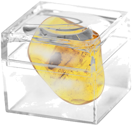 4,75 g Amber Nugget with inclusions (2)