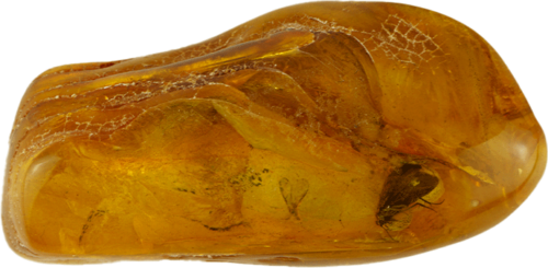 12,60 гр. Самороден кехлибар с фосил от пеперуда (1)