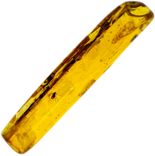 6,65 g Gintaro grynuolis su inkliuzu (1)