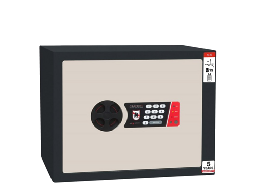 Home Safe Griffon S.30.ET (22 kg) (1)