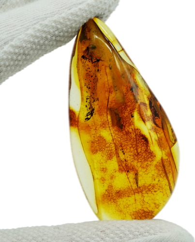 14,95 g Amber Nugget with inclusion (1)