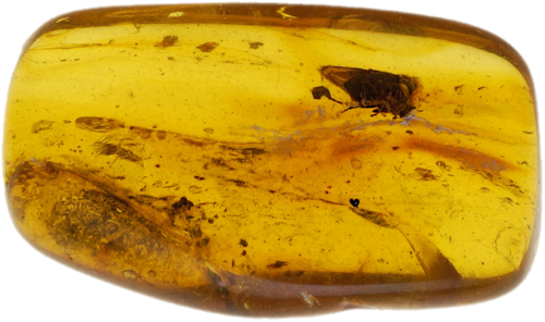 0,95 g Amber Nugget with inclusion (1)