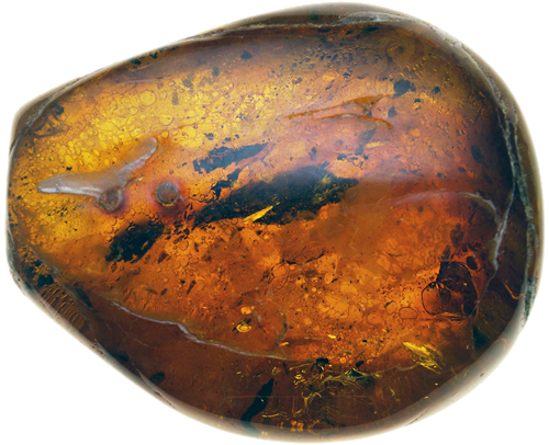 13,45 g Amber Nugget with inclusion (1)