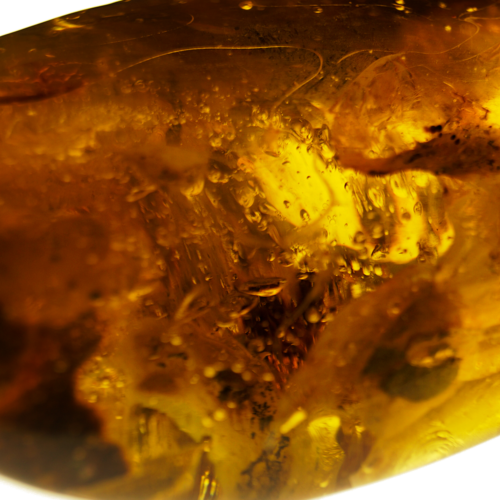 73.35 g Amber Nugget (3)