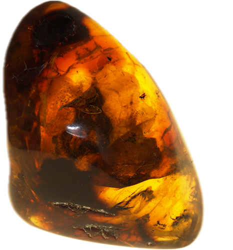22,10 g Amber Nugget with 8 inclusions (1)