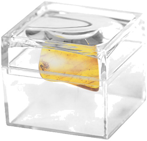 2,00 g Amber Nugget with inclusions (2)