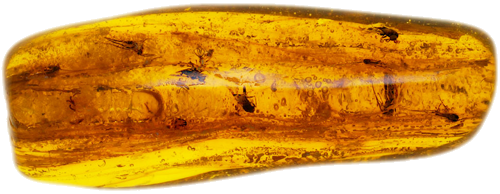 Самородок янтаря с 10 инклюзами 3,45 г (1)