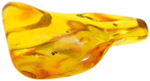 20,30 g Gintaro grynuolis su inkliuzu (1)