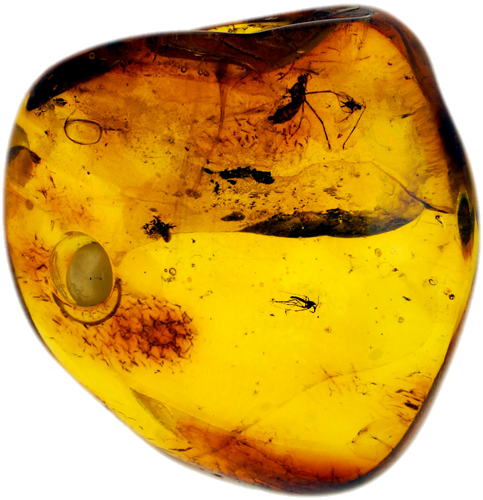 3,60 g Amber Nugget with inclusion (1)