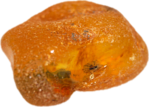 7.50 g Sea Amber Nugget with inclusion (3)