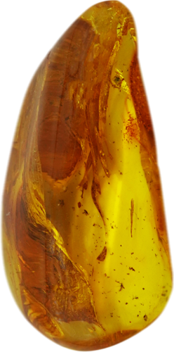 15,10 g Gintaro grynuolis su skruzdės inkliuzu (1)